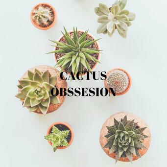 Cactus obsession